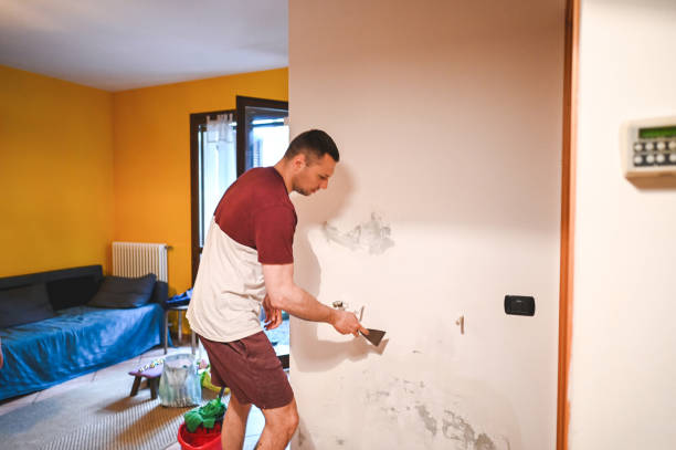 Best Industrial Mold Remediation in Coralville, IA