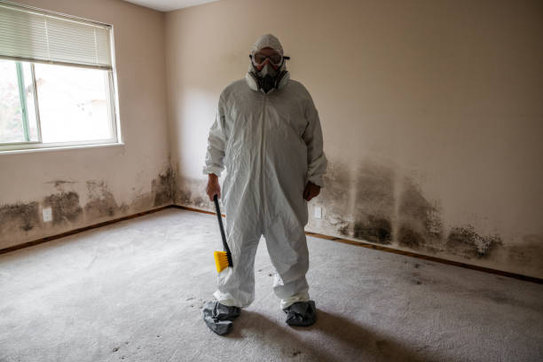 Best Emergency Mold Remediation in Coralville, IA